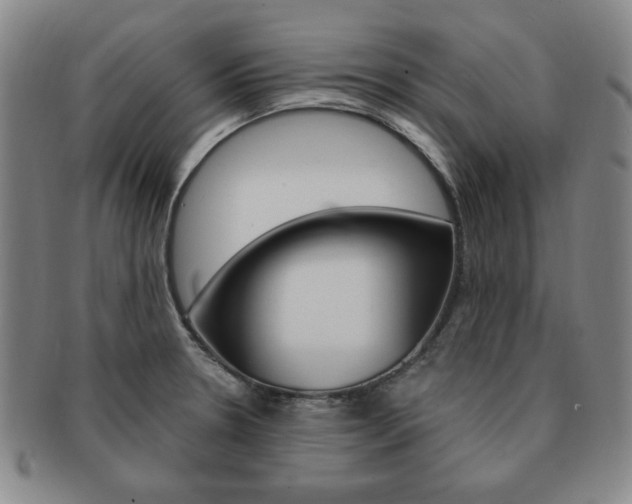 X0000091641330200708230939