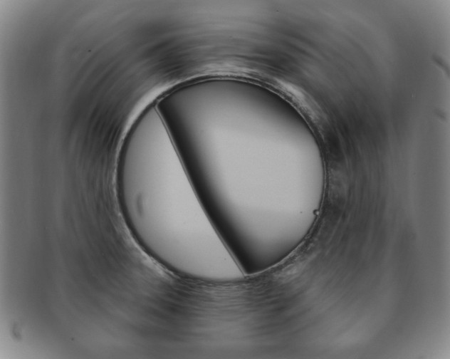 X0000091641331200708230939