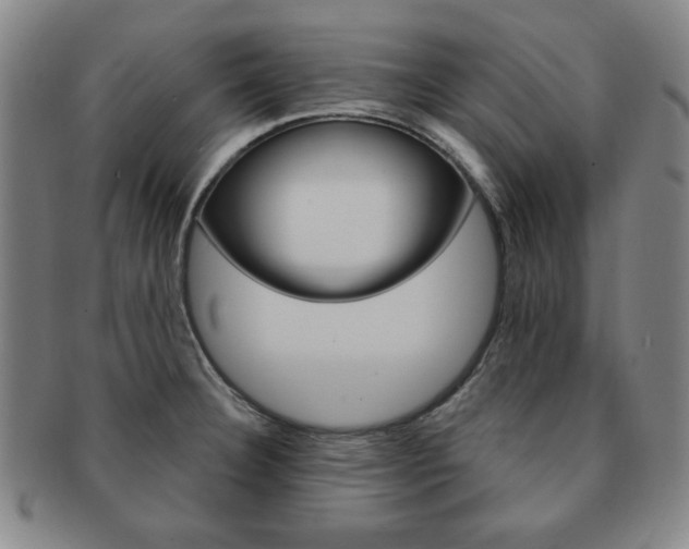 X0000091641332200708230939