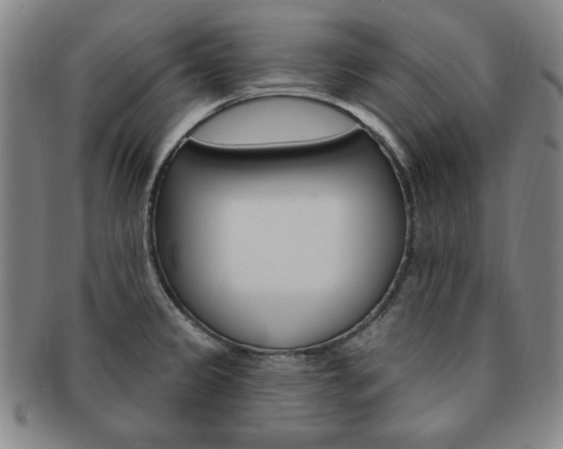 X0000091641333200708230939
