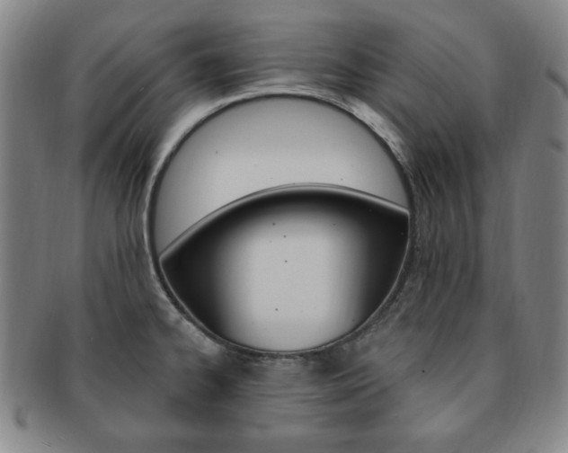 X0000091641334200708230939