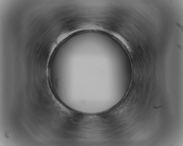 X0000091641335200708230940