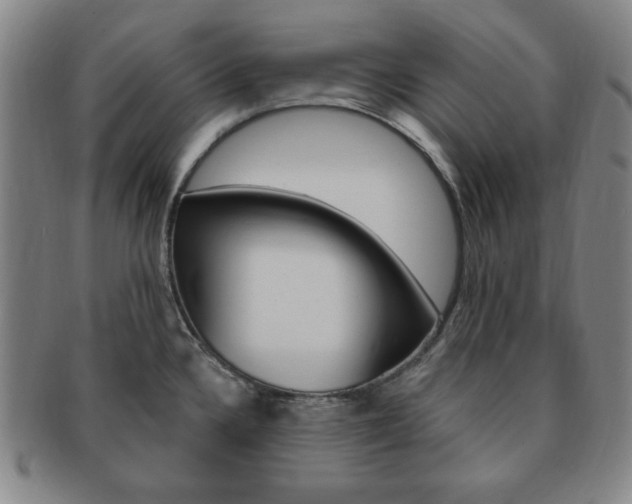 X0000091641336200708230940