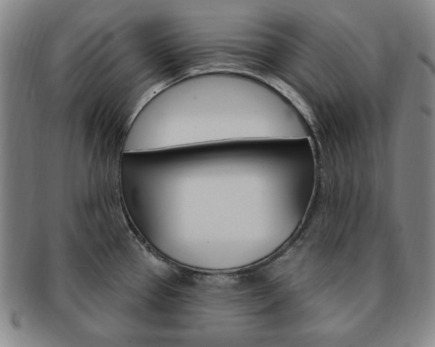 X0000091641337200708230940