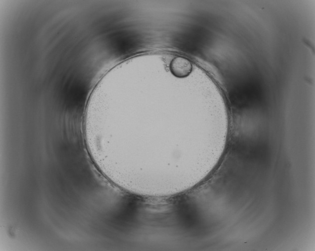 X0000091641338200708230940