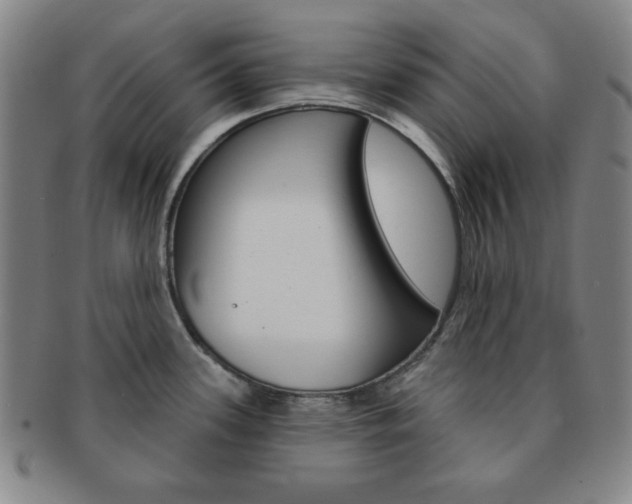 X0000091641339200708230940