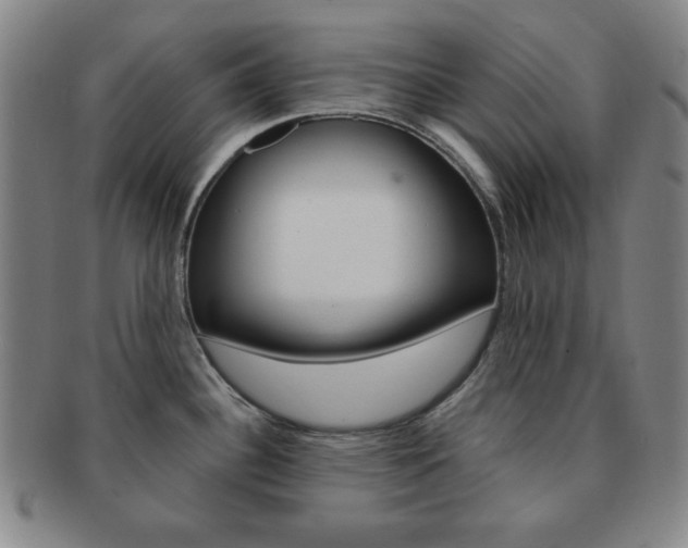 X0000091641340200708230940