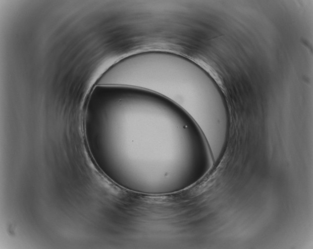 X0000091641342200708230940