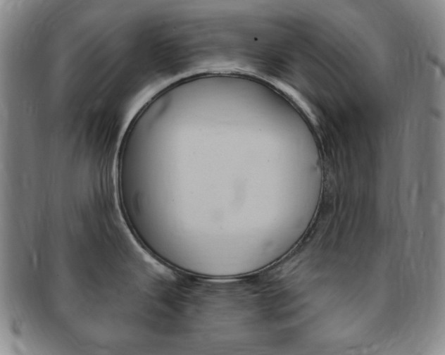 X0000091641343200708230940