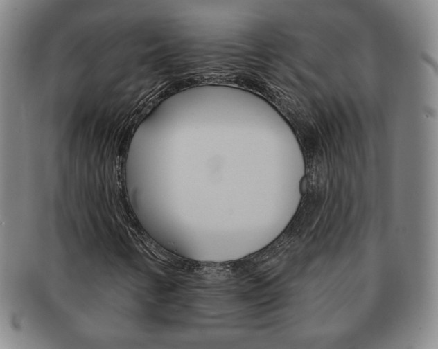 X0000091641346200708230939