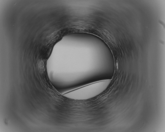 X0000091641347200708230939