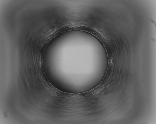 X0000091641348200708230939