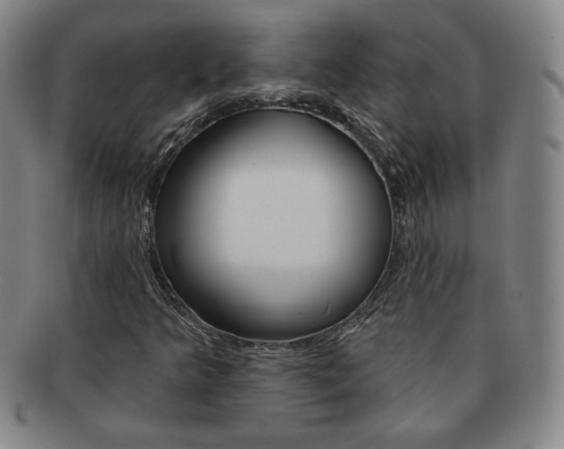 X0000091641349200708230939
