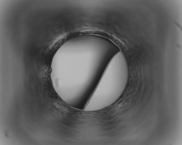 X0000091641351200708230939