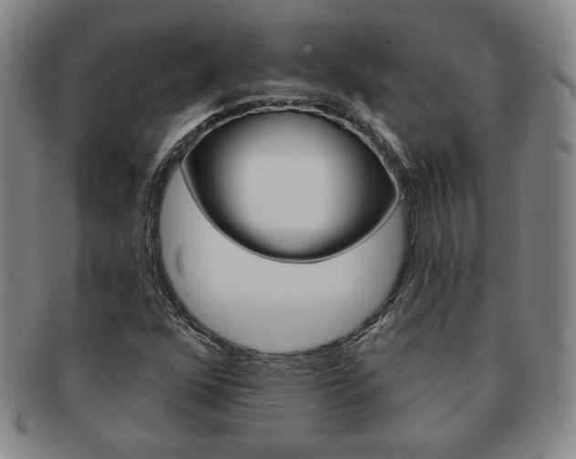 X0000091641352200708230939