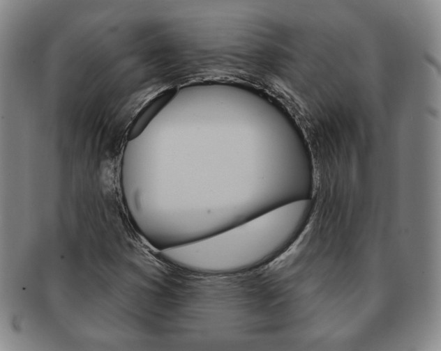 X0000091641353200708230939