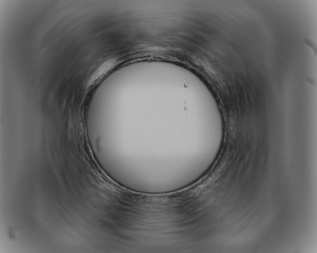 X0000091641354200708230939