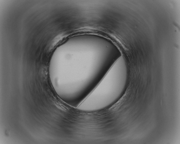 X0000091641355200708230939