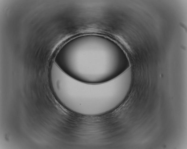 X0000091641356200708230939