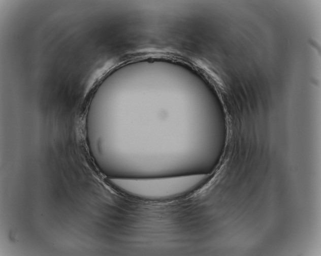 X0000091641357200708230939