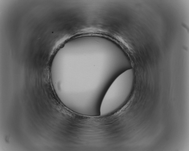 X0000091641358200708230939