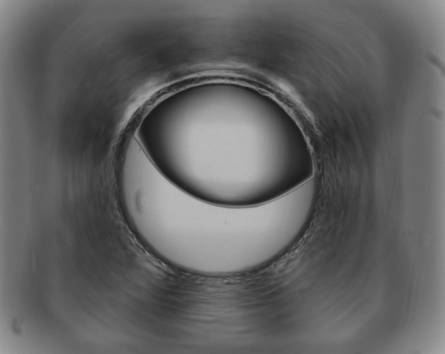 X0000091641360200708230939