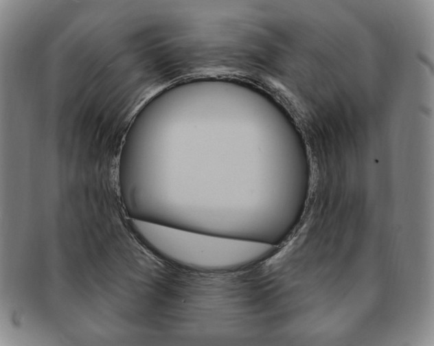 X0000091641361200708230939