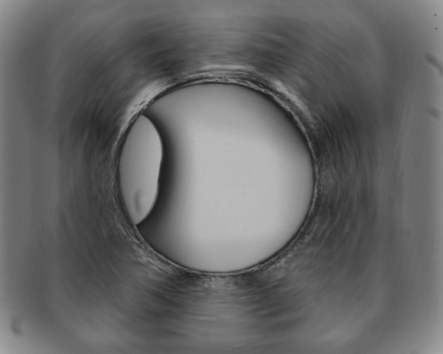 X0000091641362200708230939