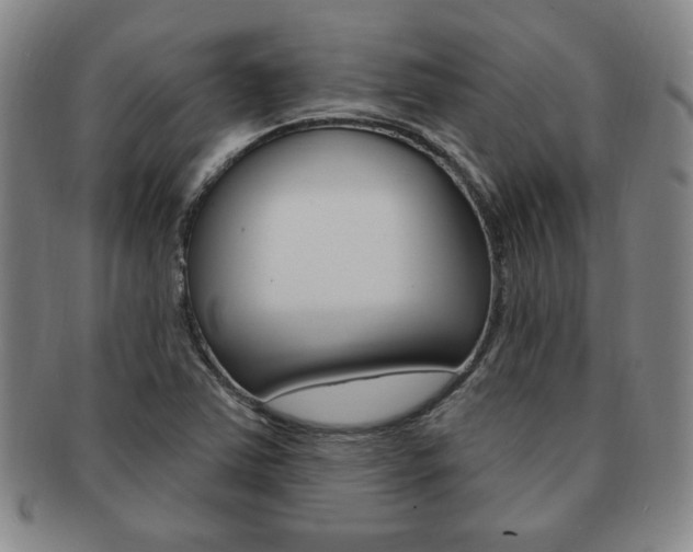 X0000091641363200708230939
