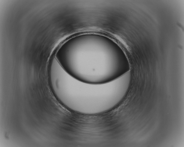 X0000091641364200708230939