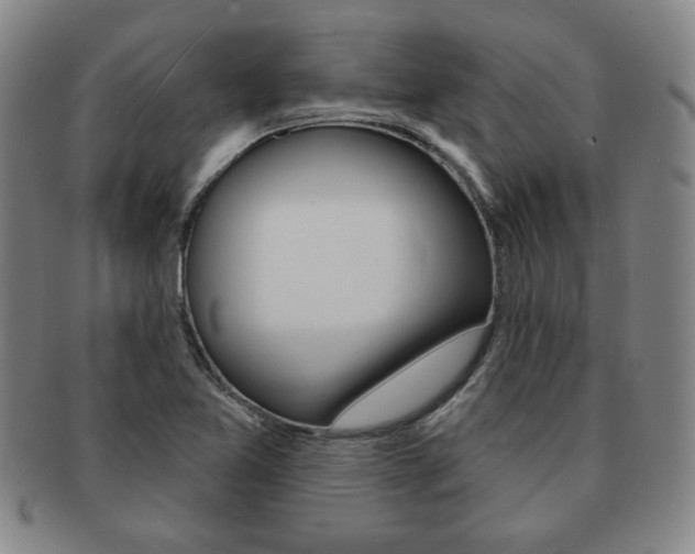 X0000091641365200708230939