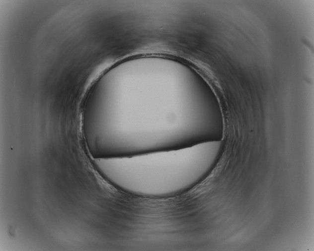 X0000091641366200708230939