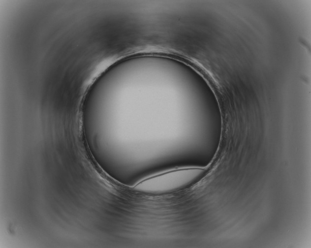 X0000091641367200708230939