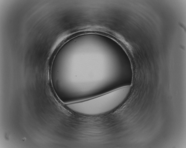X0000091641368200708230939