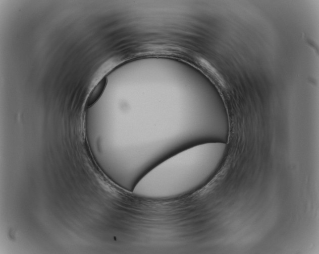X0000091641370200708230939