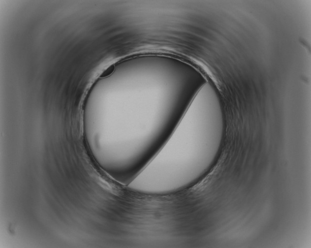 X0000091641371200708230939