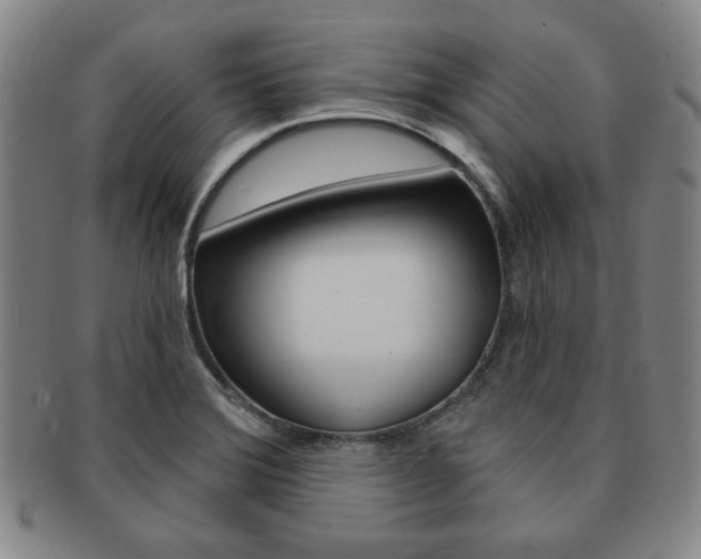 X0000091641372200708230939
