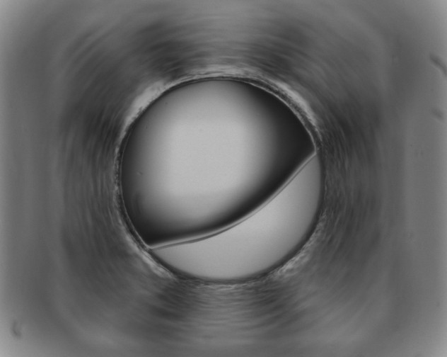 X0000091641373200708230939