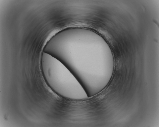 X0000091641374200708230939