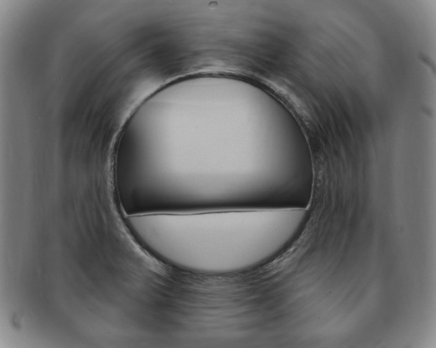 X0000091641375200708230939