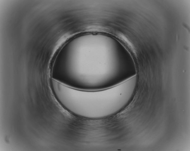 X0000091641376200708230939