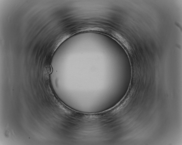 X0000091641377200708230939