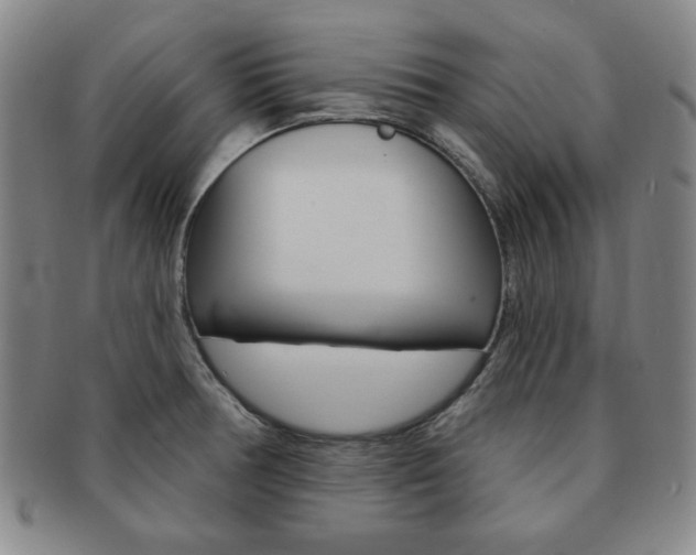 X0000091641378200708230939