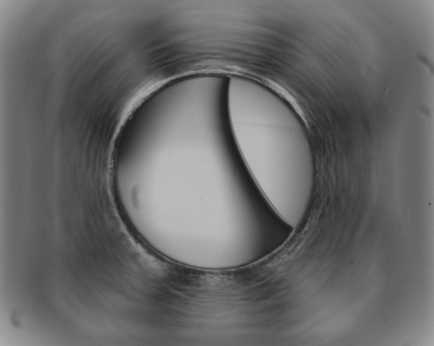 X0000091641379200708230939