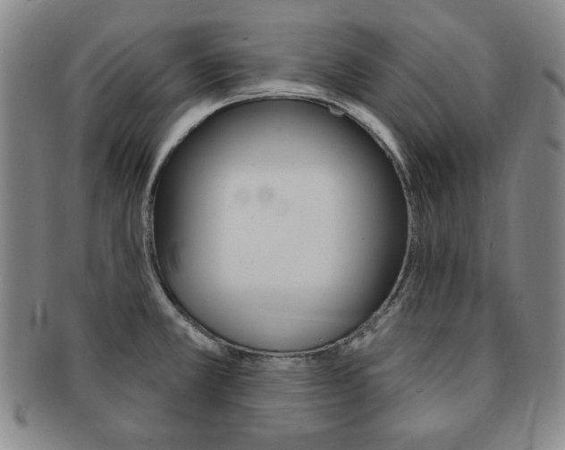 X0000091641381200708230938