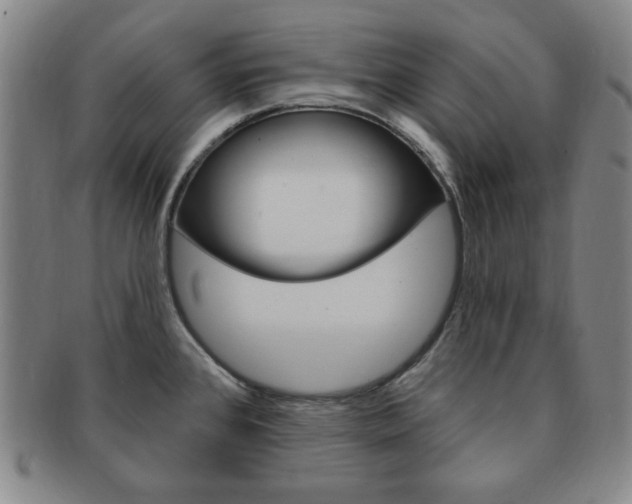 X0000091641384200708230938