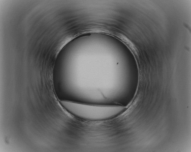 X0000091641385200708230938