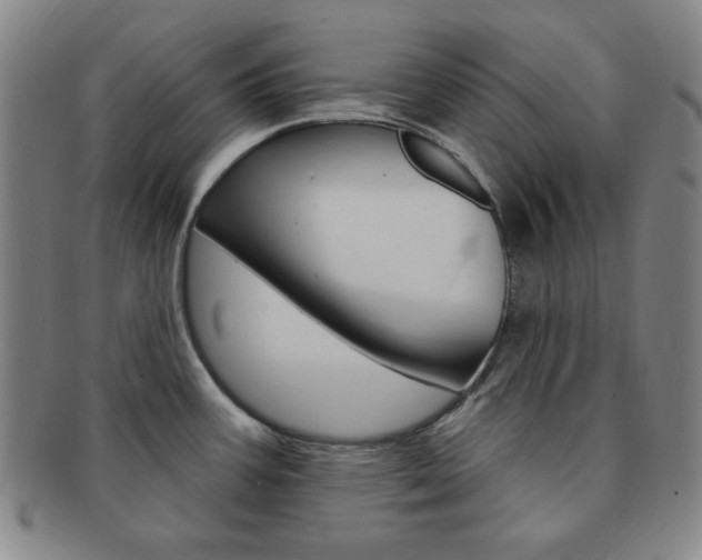 X0000091641387200708230938