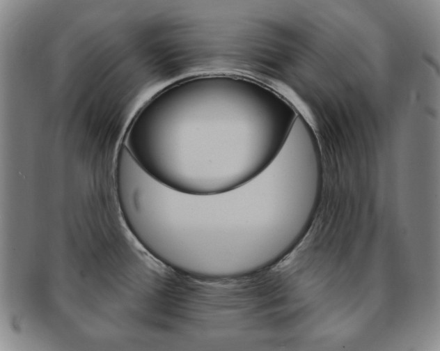 X0000091641388200708230938
