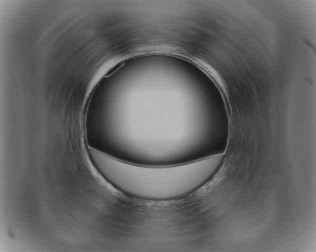 X0000091641389200708230938